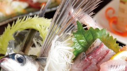 漁港直送の鮮魚を味わう 大人の隠れ家的空間 -田 ジャパニーズダイニングバー-