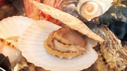 季節を問わず日本各地の旬のかきが食べられるお店登場!-バンコクの新規開店レストラン-