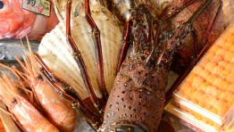 季節感あふれる日本の味とこだわりの素材 -雅-