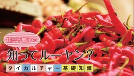 タイカルチャー基礎知識:タイ人の暑さ対策