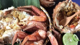 ピアノの生演奏が聴けるバーや、アットホームな定食屋がスクンビットに登場!-バンコクの新規開店レストラン-