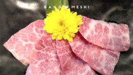 プロモーション付きなどの新店舗!-バンコクの新規開店レストラン11月号