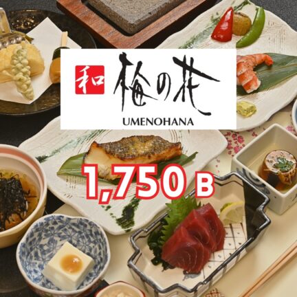 梅の花 ソラリア店｜忘年会